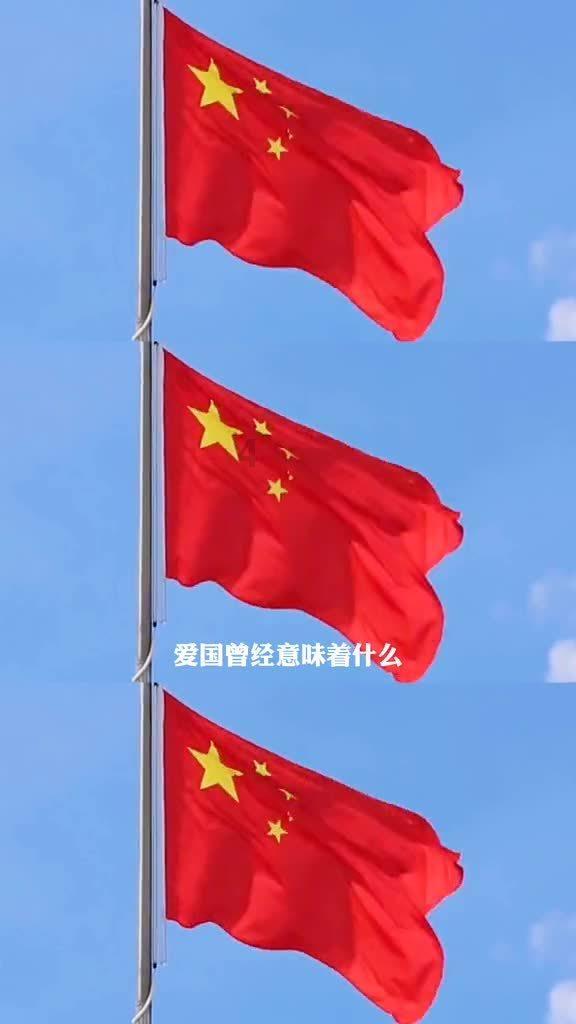 萌宠好又多